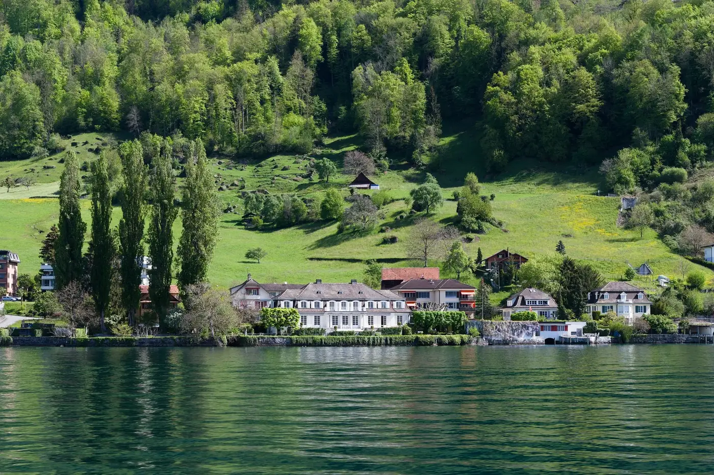 Beautiful lakefront landscape in Vitznau, Switzerland with lush greenery.