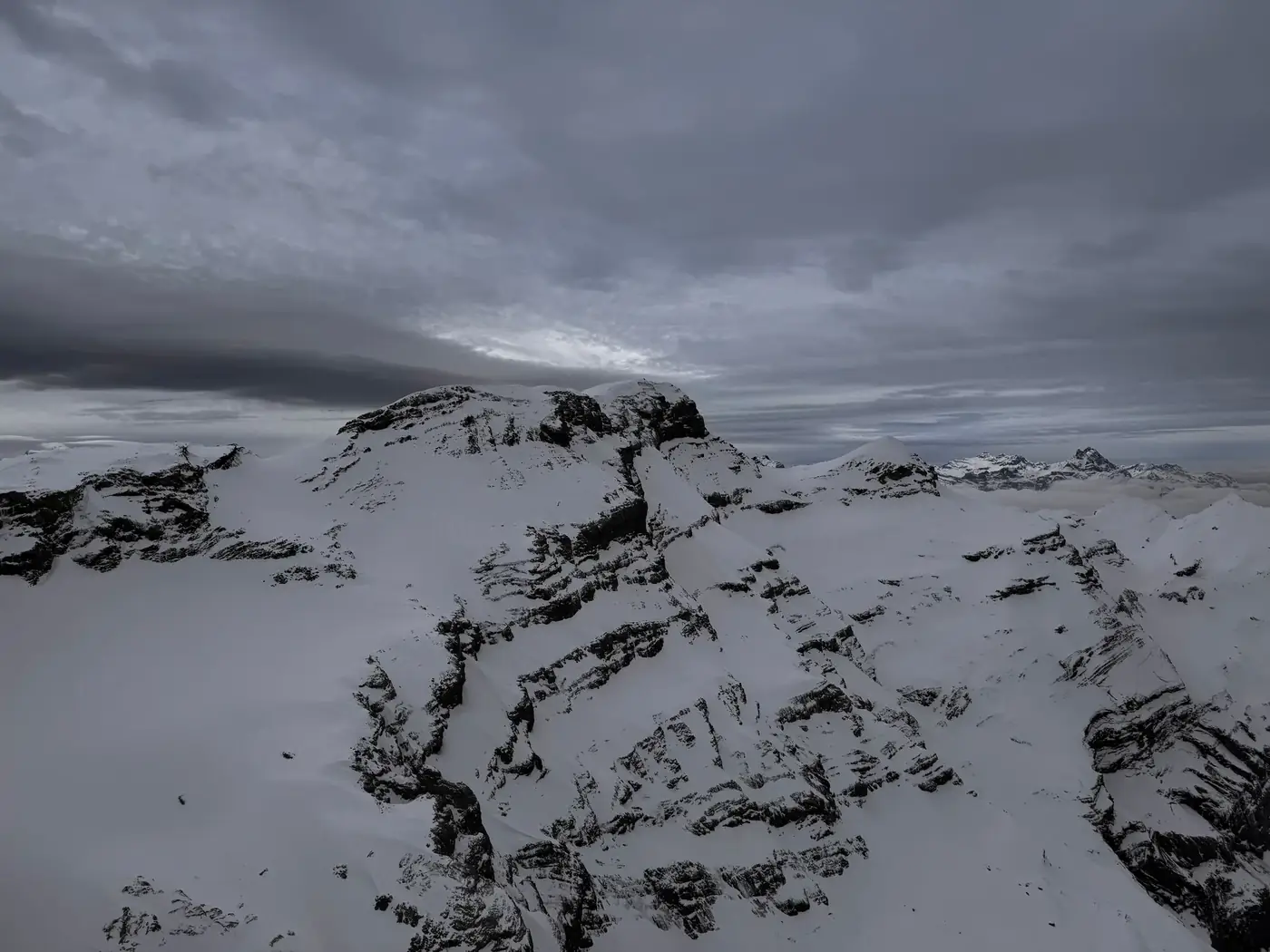 Saanen