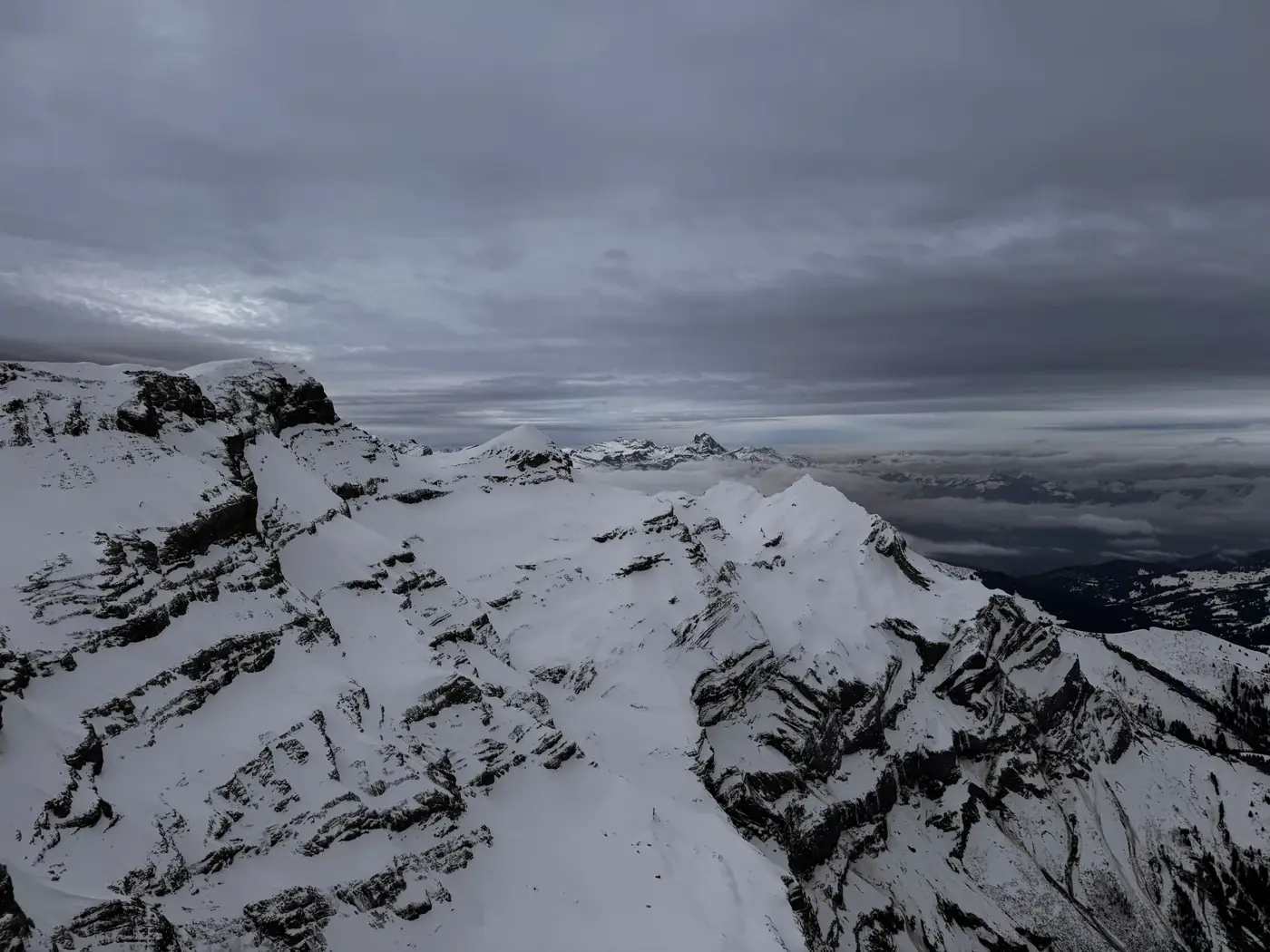 Saanen