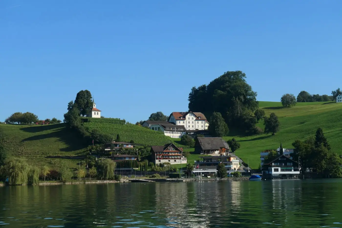 Charming hillside village by Lake Lucerne with lush greenery and serene lake view.