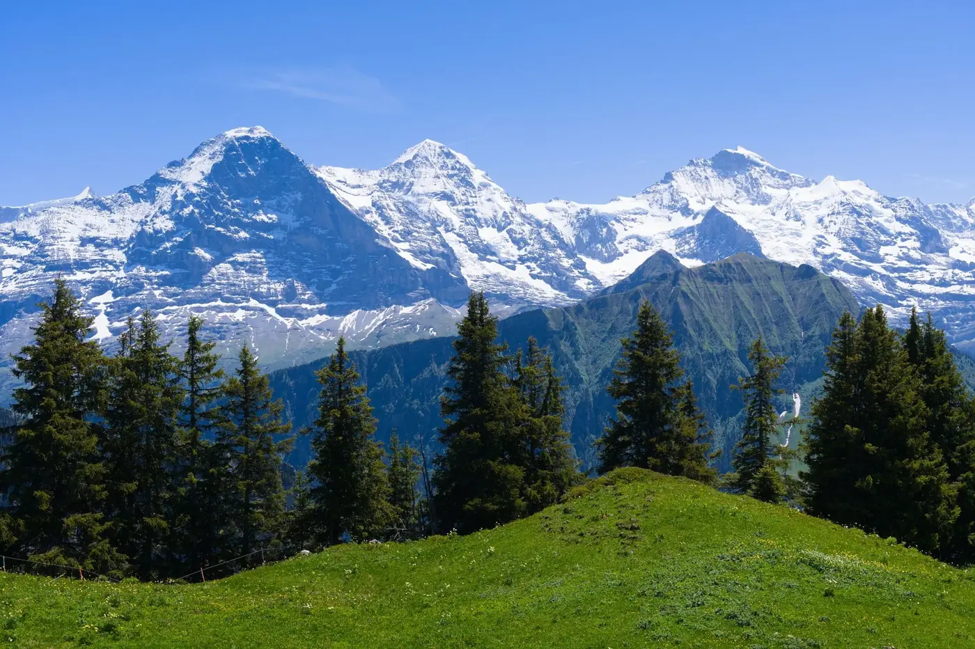 Breathtaking landscape of the Jungfrau region in the Swiss Alps with lush greenery and snowy peaks.
